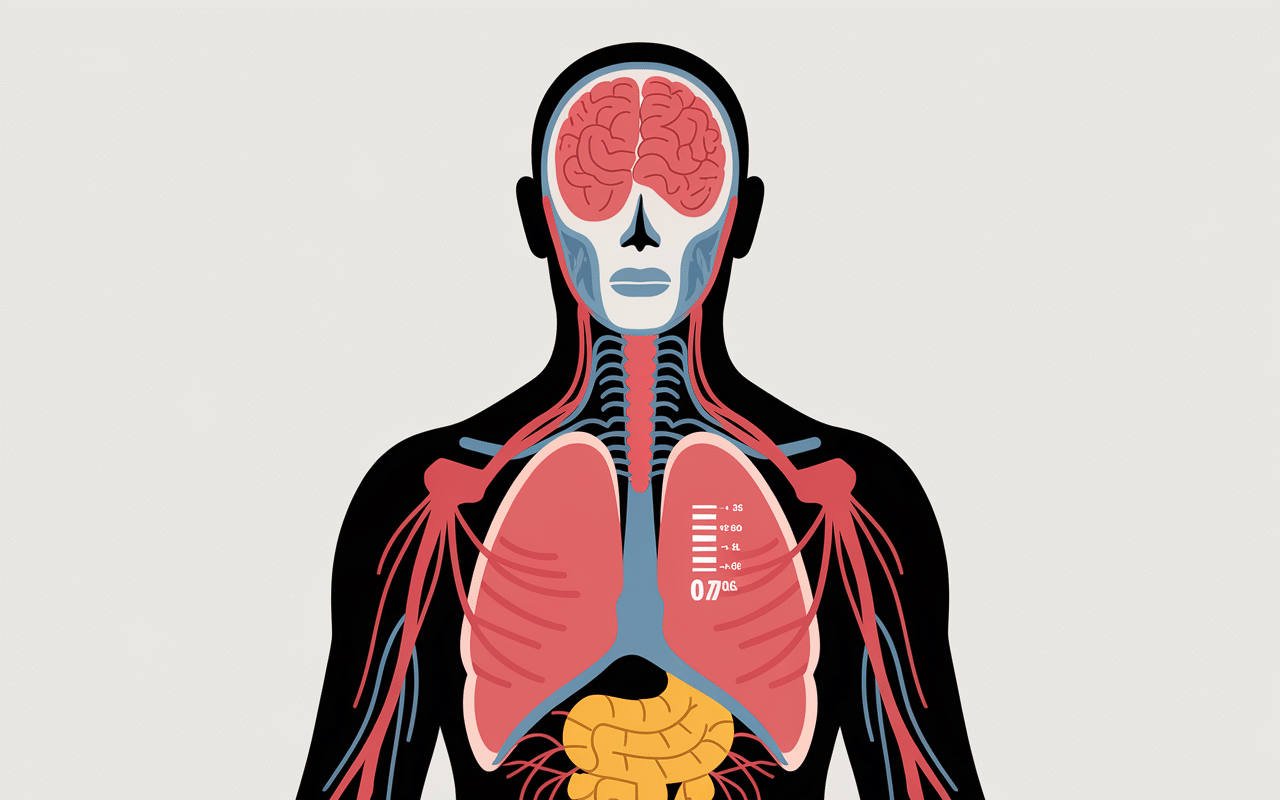 2 verres de whisky combien de gramme effets santé