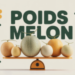 Composition de melons sur balance cuisine poids melon