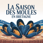 Illustration moules fraîches saison des moules Bretagne