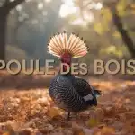 Illustration poule des bois dans foret automnale