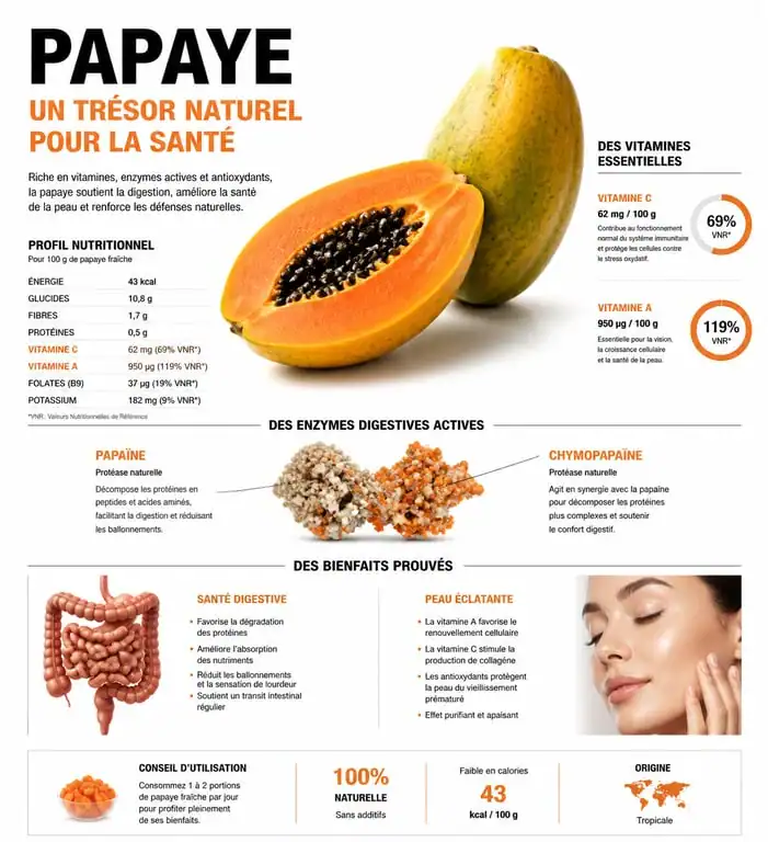 Infographie des bienfaits nutritionnels et santé de la papaye