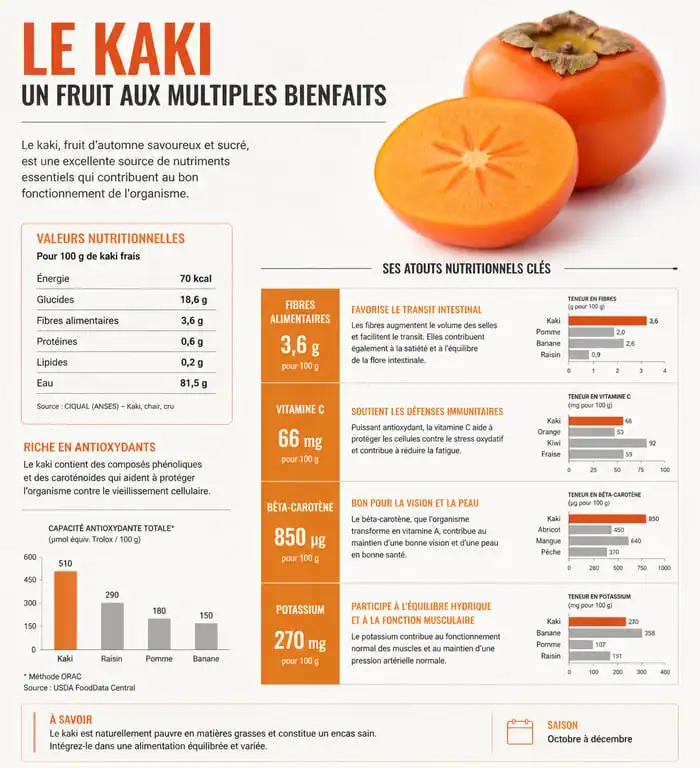 Infographie des bienfaits santé et valeurs nutritionnelles du kaki pour l'organisme